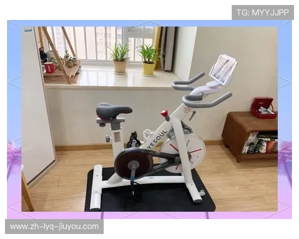 高效燃脂塑形动感单车打造居家健身新体验